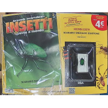 INSETTI5
