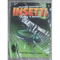 INSETTI5