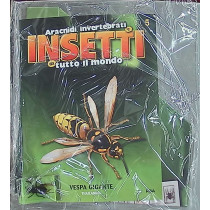 INSETTI5