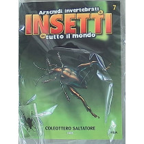 INSETTI5