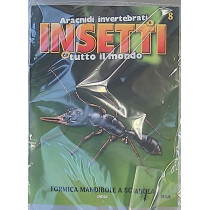 INSETTI5