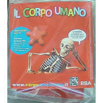 IL CORPO UMANO10