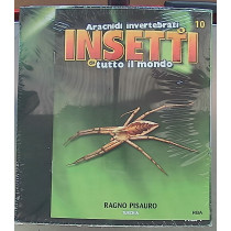 INSETTI5