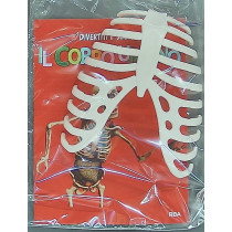 IL CORPO UMANO10