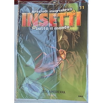 INSETTI5