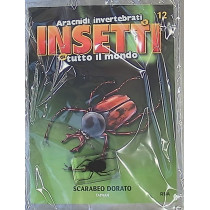 INSETTI5