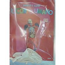 IL CORPO UMANO10