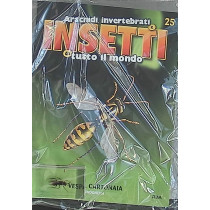 INSETTI5