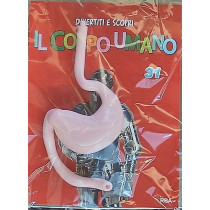 IL CORPO UMANO10