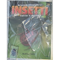 INSETTI5