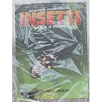 INSETTI5