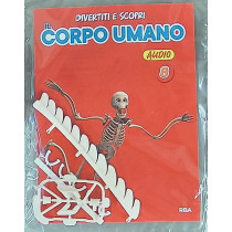 IL CORPO UMANO11