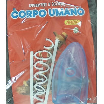 IL CORPO UMANO11