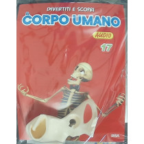 IL CORPO UMANO11