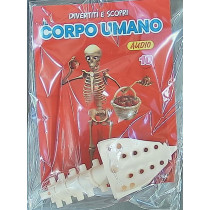 IL CORPO UMANO11