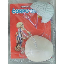 IL CORPO UMANO11