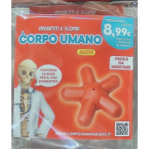 IL CORPO UMANO11