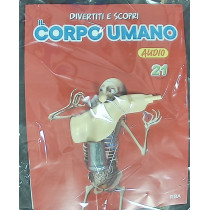 IL CORPO UMANO11