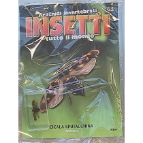INSETTI5