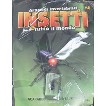 INSETTI5