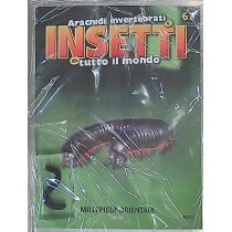 INSETTI5