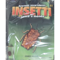 INSETTI5