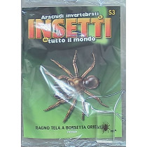 INSETTI5