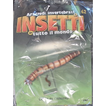 INSETTI5