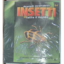 INSETTI5