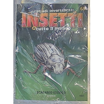 INSETTI5