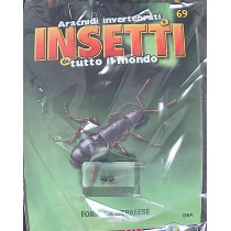 INSETTI5