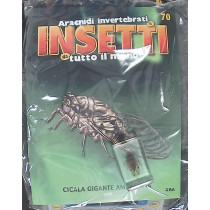 INSETTI5