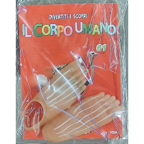 IL CORPO UMANO10