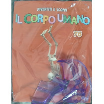 IL CORPO UMANO10