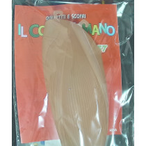 IL CORPO UMANO10