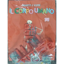 IL CORPO UMANO10