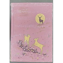 STORIE MERAVIGLIOSE2