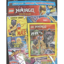 LEGO NINJAGO PLUS