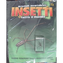 INSETTI5