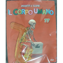 IL CORPO UMANO10