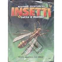 INSETTI5