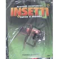 INSETTI5