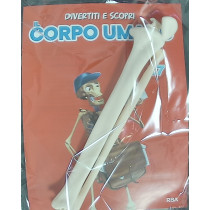 IL CORPO UMANO11