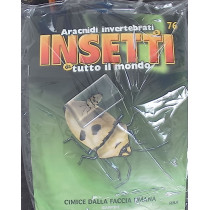 INSETTI5