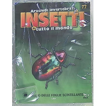 INSETTI5