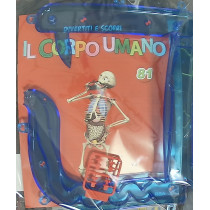 IL CORPO UMANO10