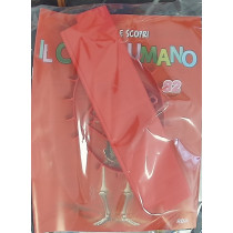 IL CORPO UMANO10