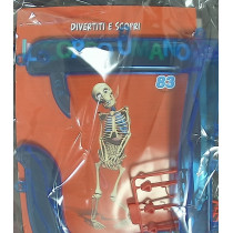 IL CORPO UMANO10
