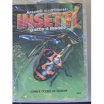 INSETTI5