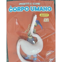 IL CORPO UMANO11